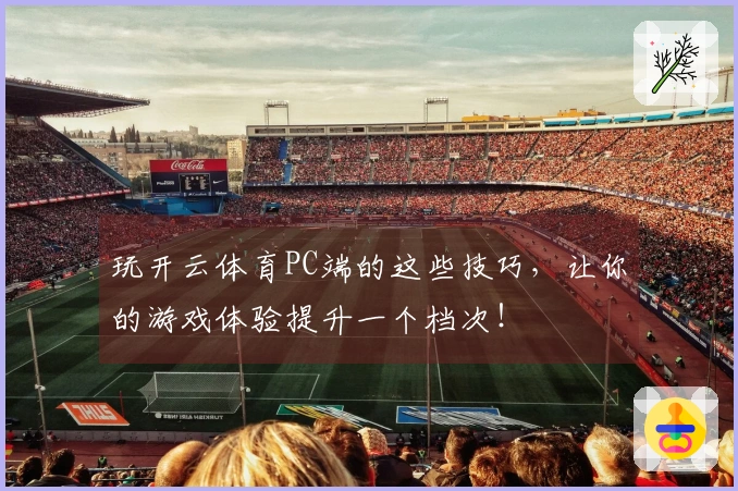 玩开云体育PC端的这些技巧，让你的游戏体验提升一个档次！