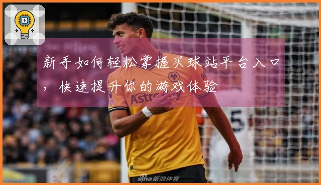新手如何轻松掌握买球站平台入口，快速提升你的游戏体验