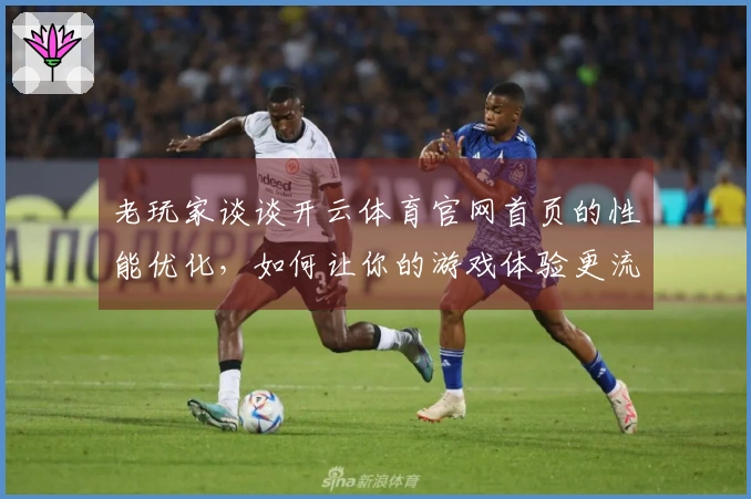 老玩家谈谈开云体育官网首页的性能优化，如何让你的游戏体验更流畅！