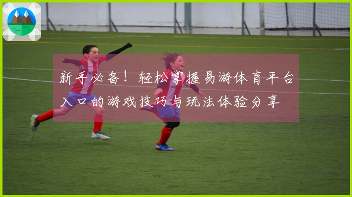 新手必备！轻松掌握易游体育平台入口的游戏技巧与玩法体验分享